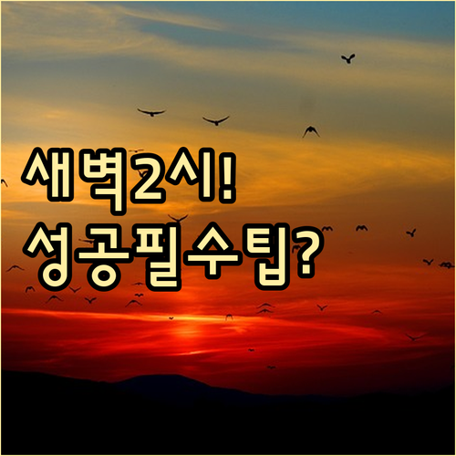 2026 해돋이 관람 성공 새벽 2시..