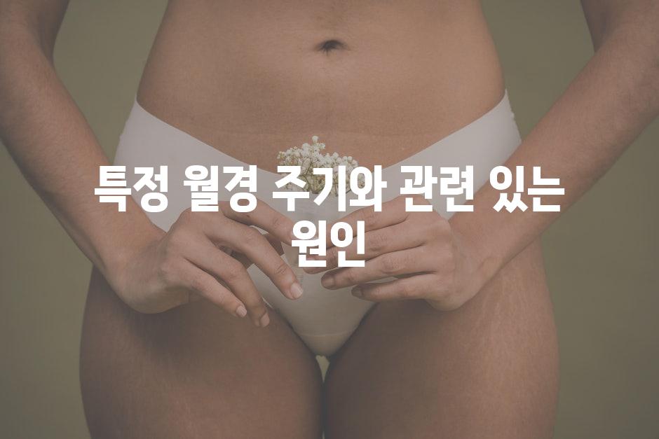 특정 월경 주기와 관련 있는 원인