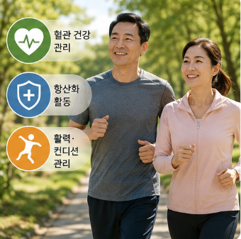 땃두릅엔오-효능-복용법-부작용-내돈내산-구매-후기