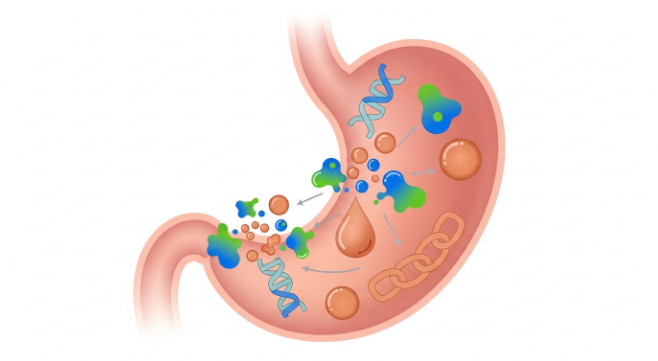 붓톡브로멜라인-내돈내산-후기-섭취방법-성분