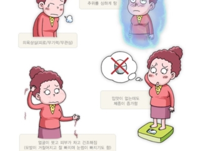 갑상선 이미지