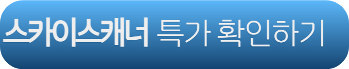 스카이스캐너 오사카 항공권