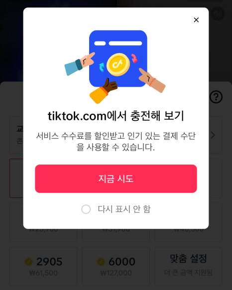 틱톡코인