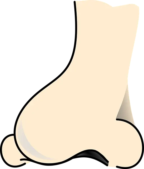 코털의 힘: 작은 털이 건강을 지배한다