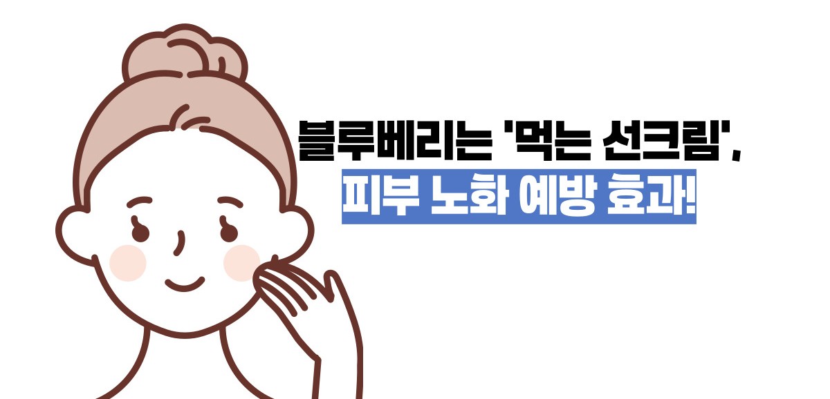 블루베리 효능 부작용