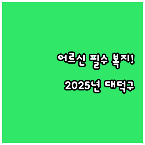 대전 대덕구 2025년 어르신채움돌봄..