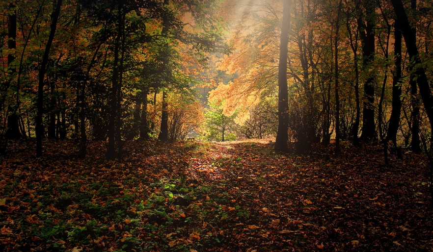 10월 단풍여행 &ndash; 강원도 전라도 중부권 단풍명소