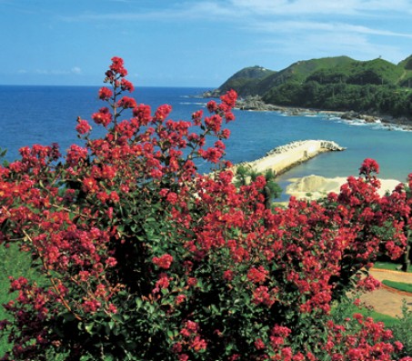 삼척 가볼만한곳 베스트10