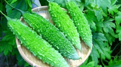 여주 이미지