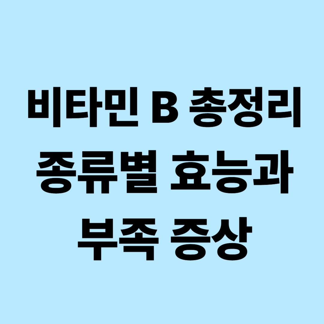 비타민 B군 총정리｜B1부터 B12까지 효능&middot;부족 증상&middot;음식 알아보기