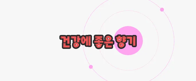 국화차 효능 한번 체크해보죠