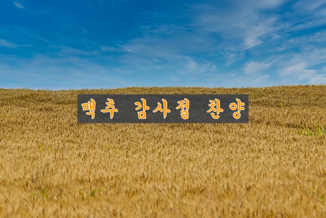 맥추절 감사 찬양