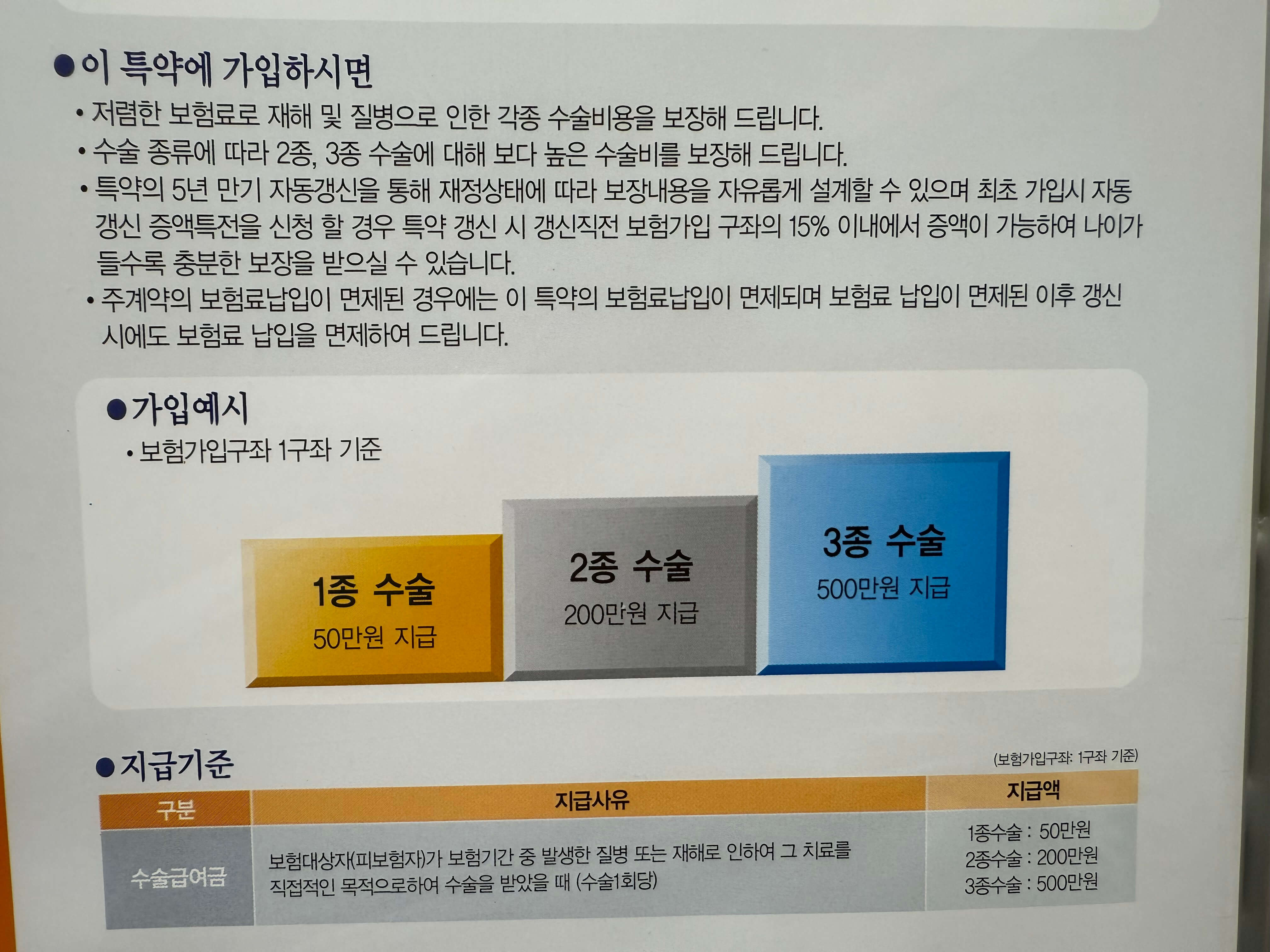 뼈이식 보험