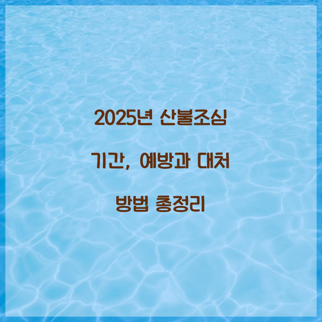 2025년 산불조심 기간