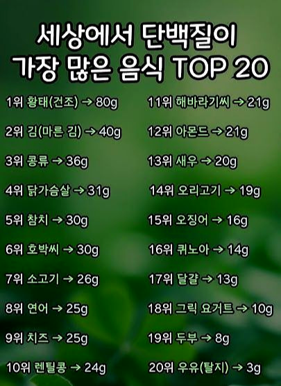 여자 남자 다이어트 하루 단백질 몇g? 몸무게 계산법