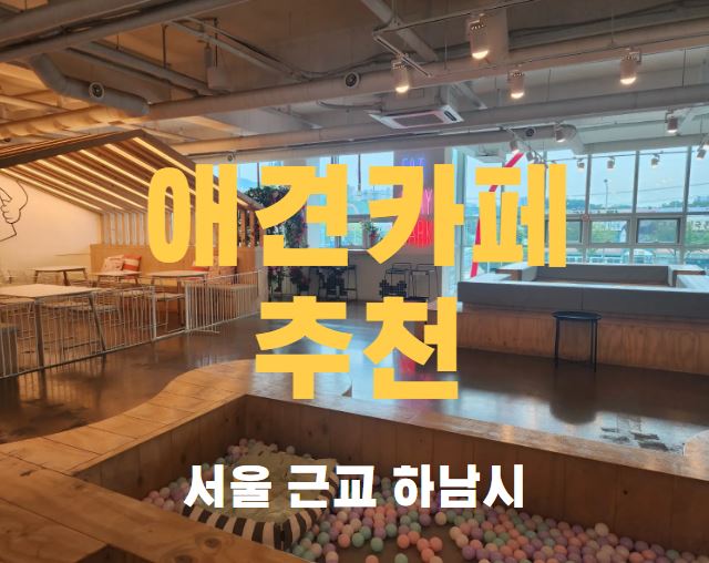 애견카페 실내 내부 모습, 썸네일