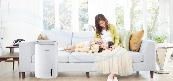 2025 장마 대비 제습기 추천! 여름철 필수템, 실내 습기 잡는 똑똑한 선택