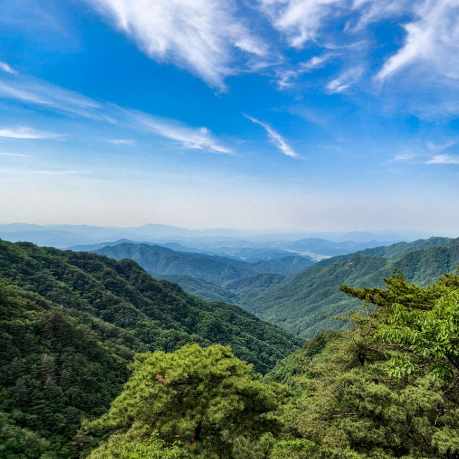치악산