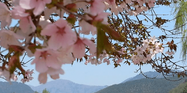 가을 바다 열차 여행 추천