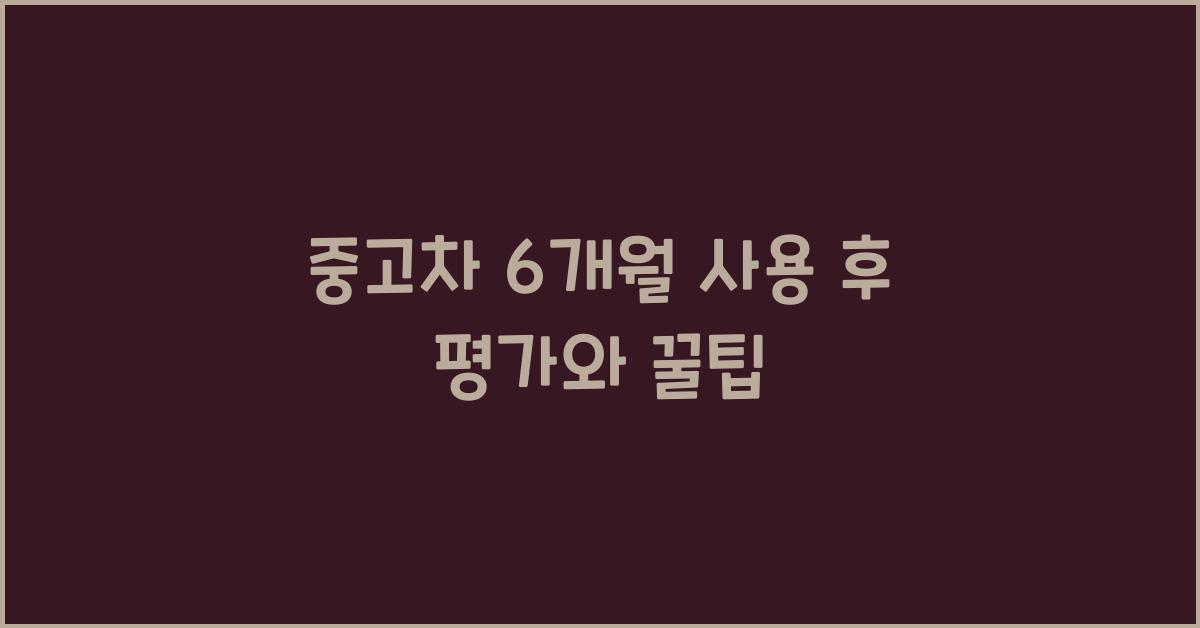 중고차 6개월