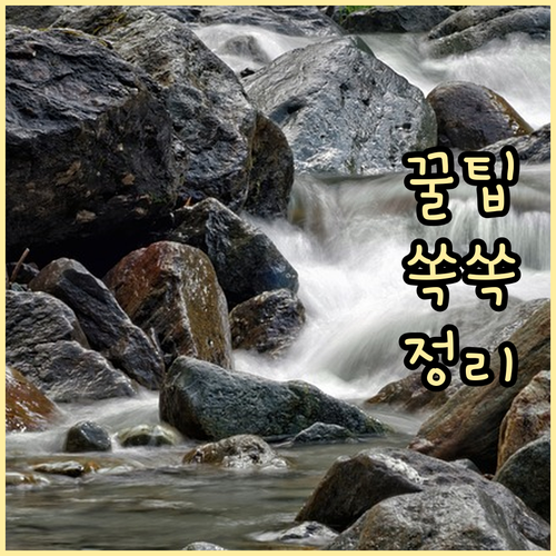 신한은행 예금 가입 필수 정보: 서류