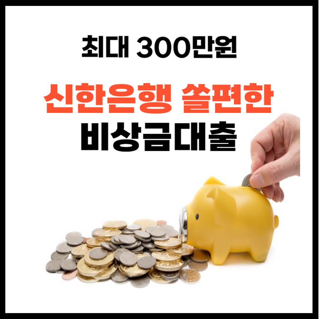 비상금대출