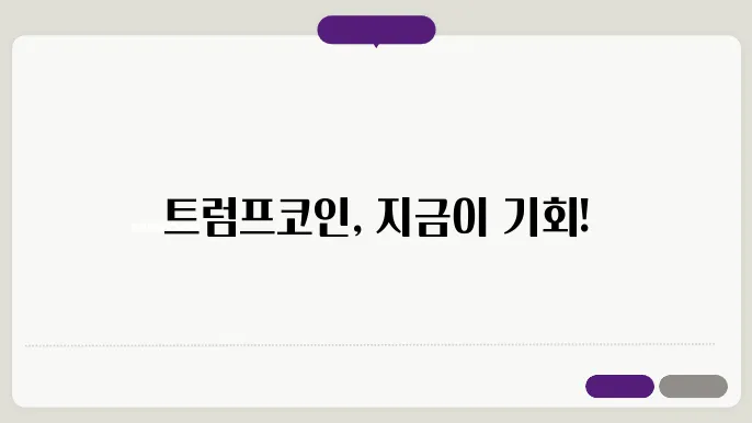 트럼프 코인 시세와 사는 법 시가 총액 순위