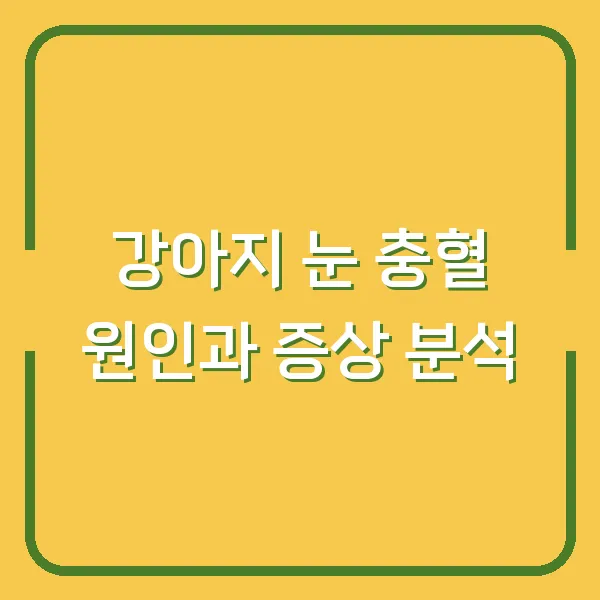 강아지 눈 충혈 원인과 증상 분석