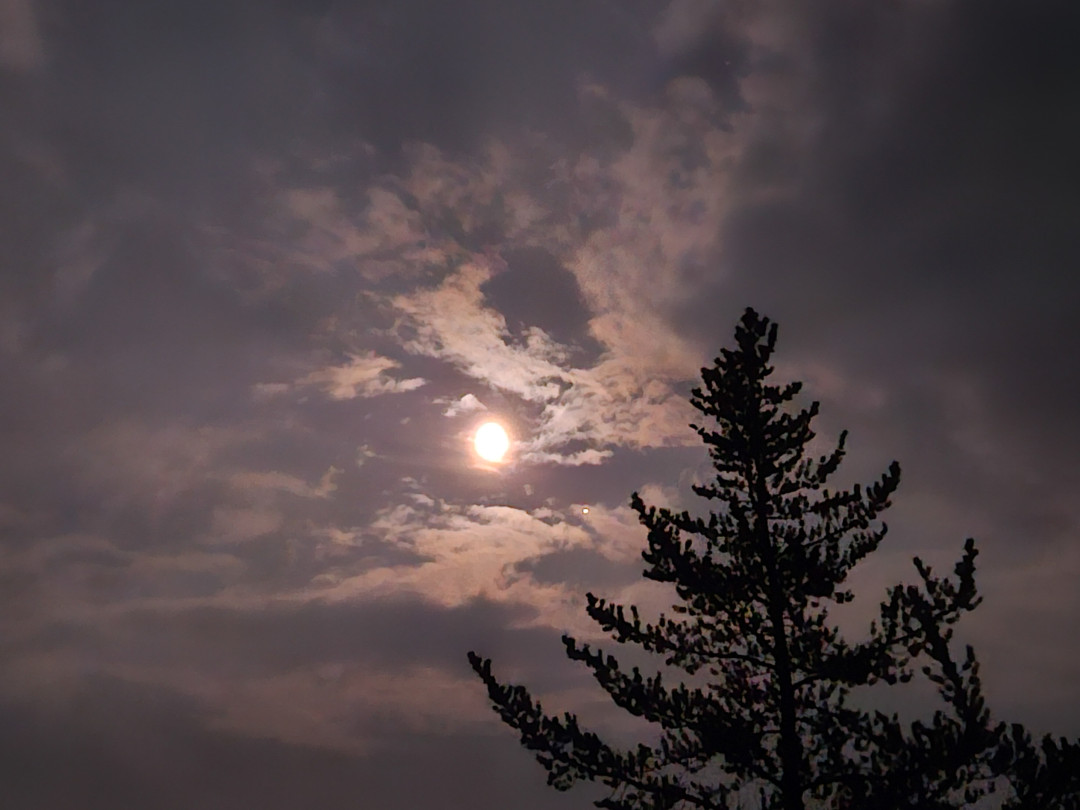 옐로나이프 오로라 투어 한밤중