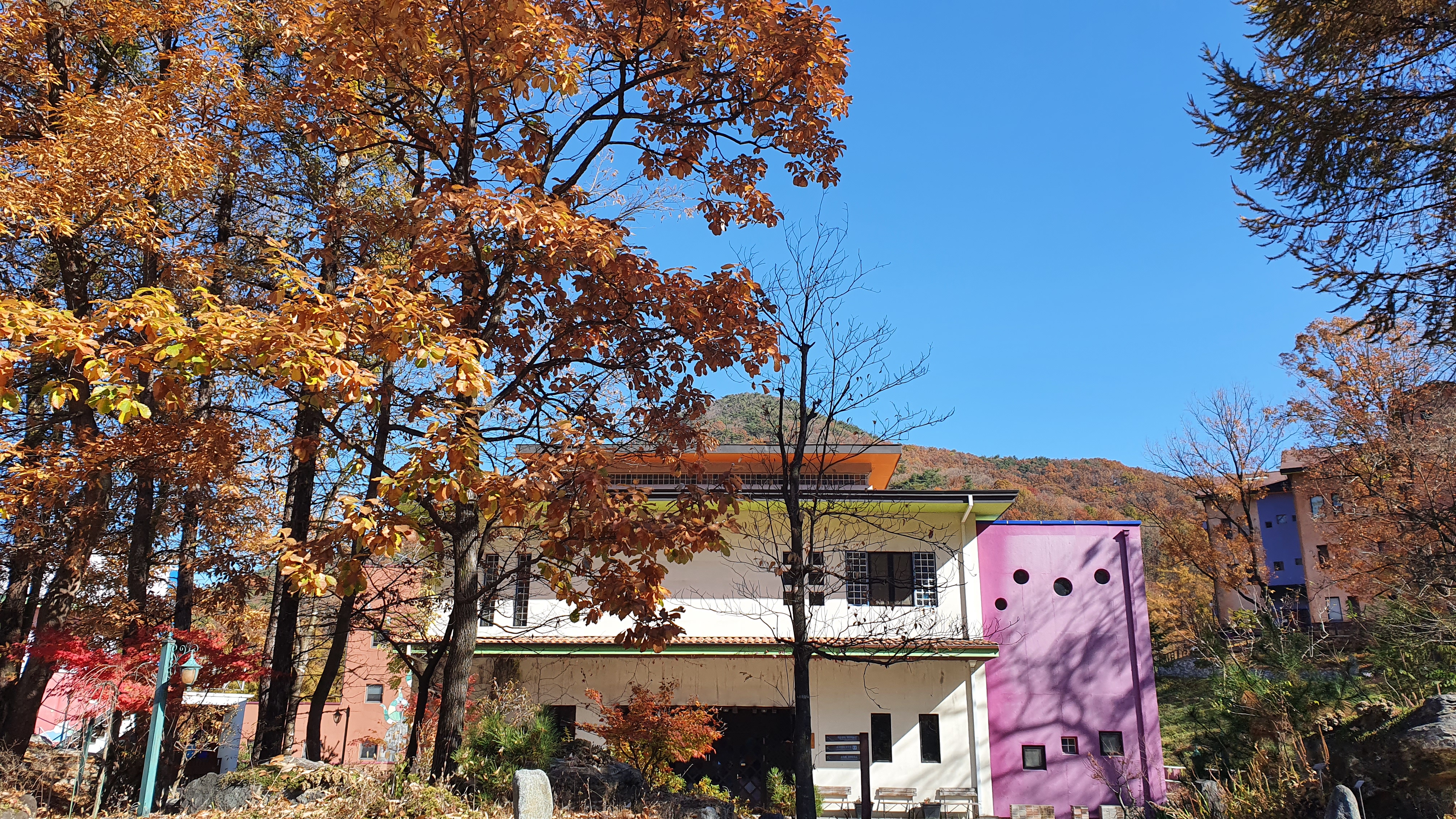 충북 깊은산속 옹달샘