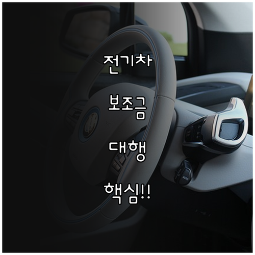 성공적인 전기차 구매를 위한 보조금 ..