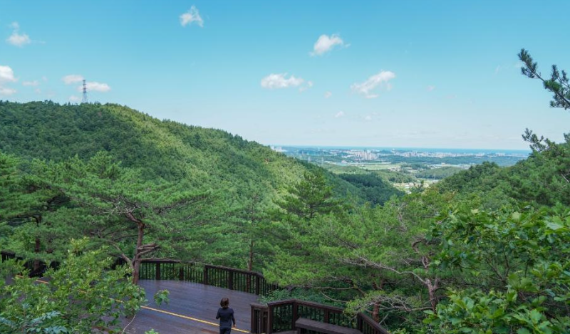 강릉솔향수목원