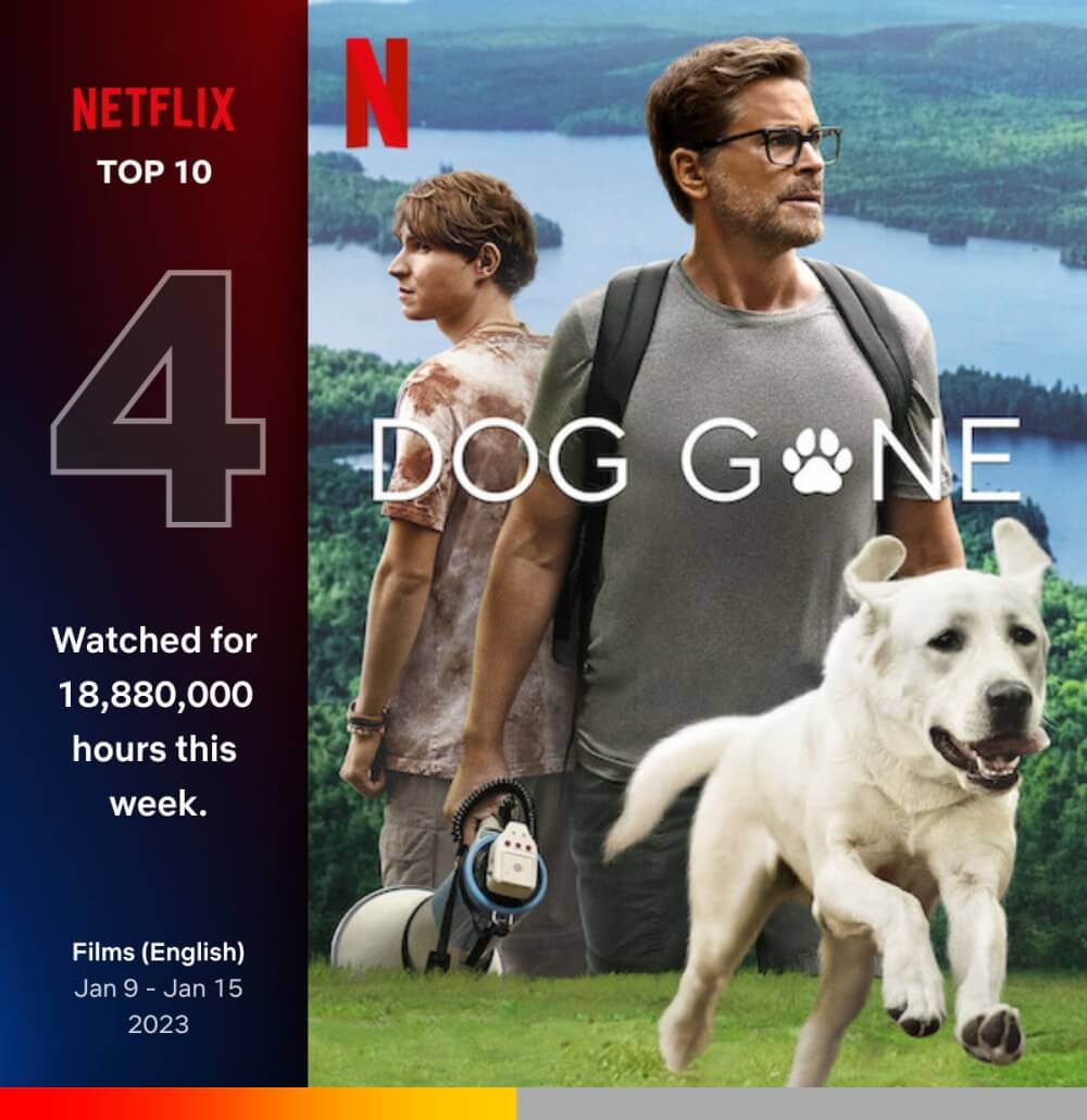 우리집 개를 찾습니다에서 로브 로우와 조니 버치툴드가 잃어버린 개를 찾고 있는 포스터