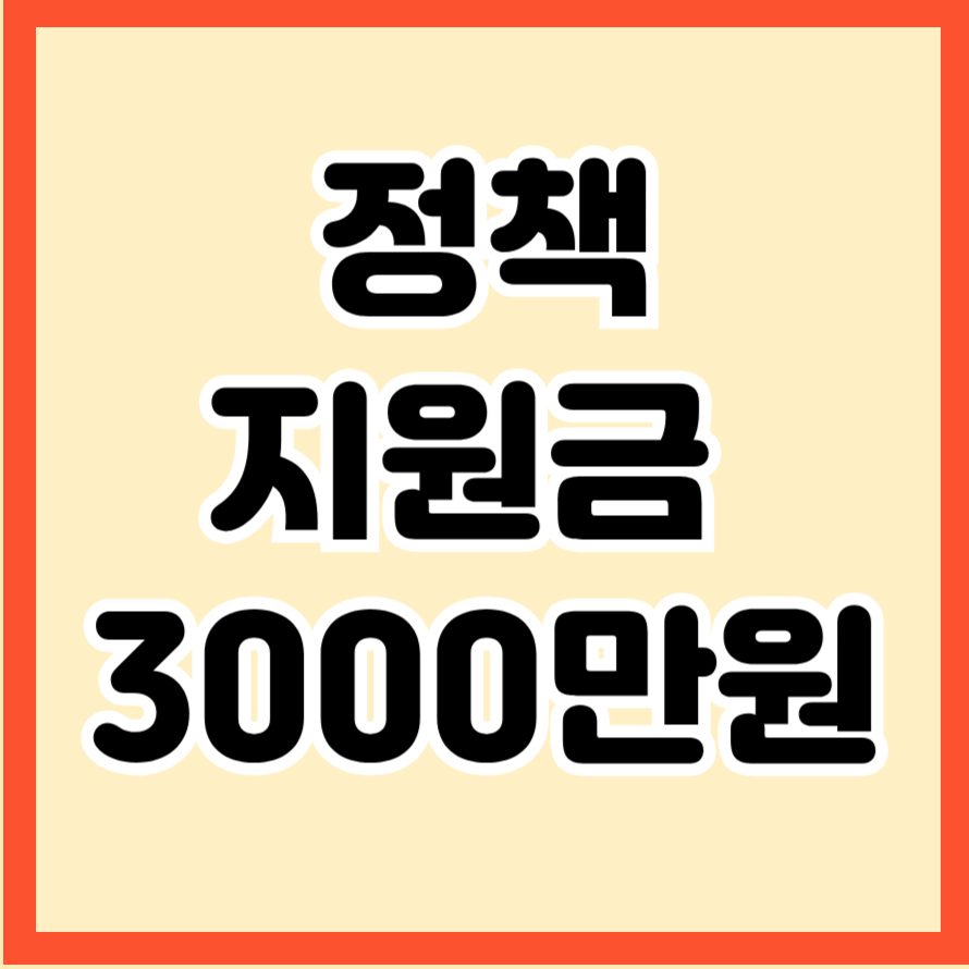 정책지원금 3000만원