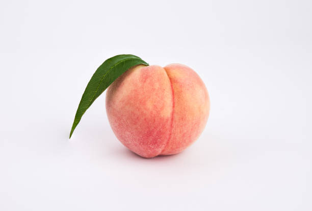 복숭아 꿈해몽