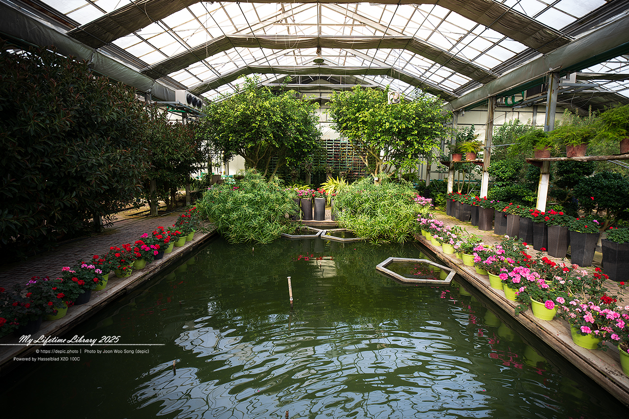 식물원 아산 세계꽃식물원 온실 꽃