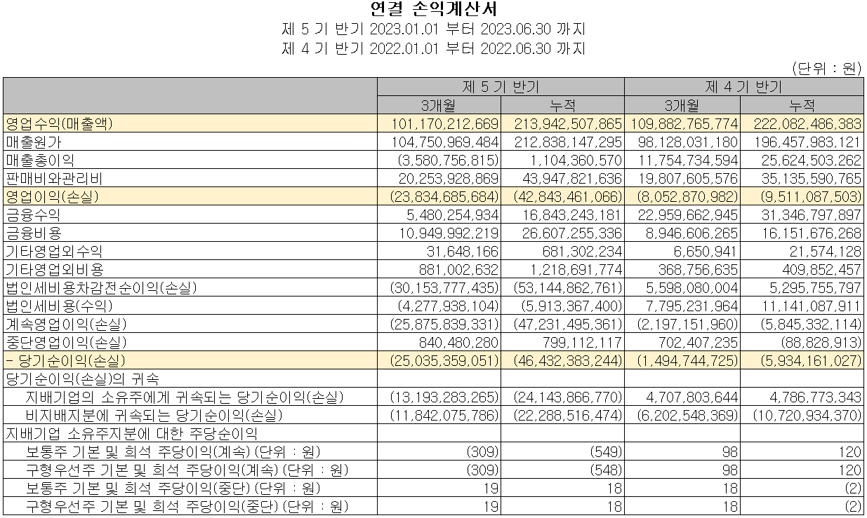 솔루스첨단소재 - 손익계산서