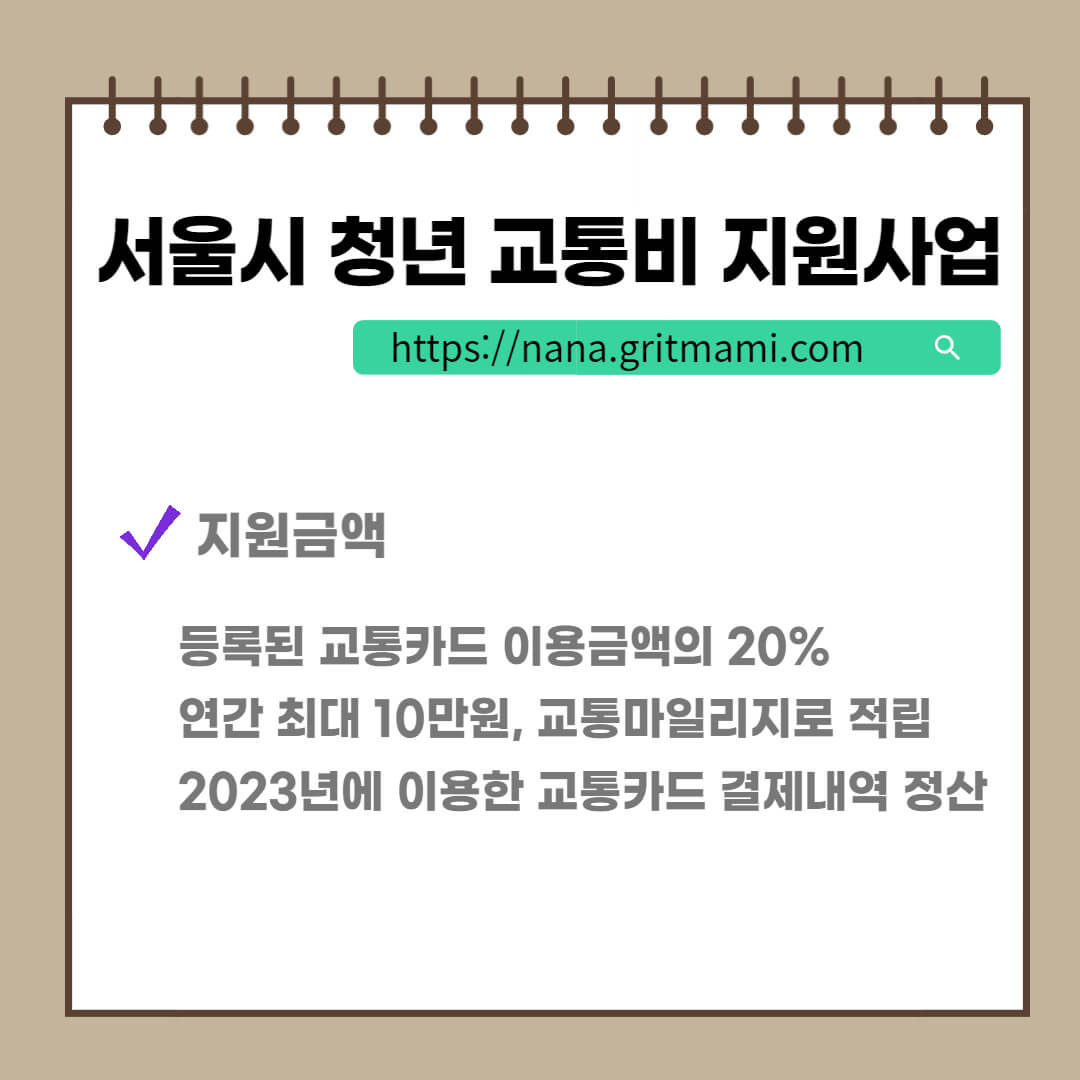 서울 청년 교통비 지원