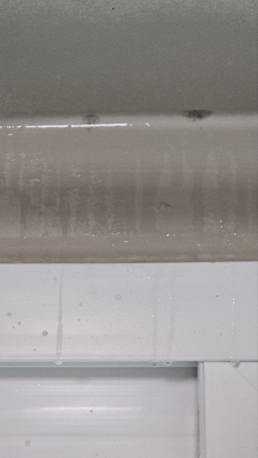 세탁실 곰팡이 제거｜닥터클린 곰팡이제거제/방지제 내돈내산 사용기