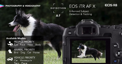 캐논 EOS R8