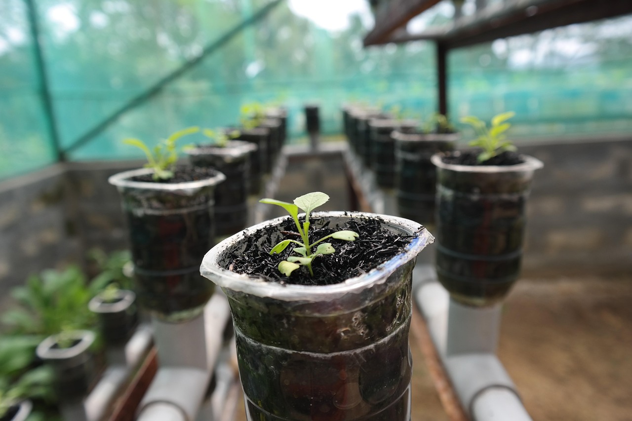 수경재배(Hydroponics) 및 양액재배 시스템과 스마트 팜의 결합