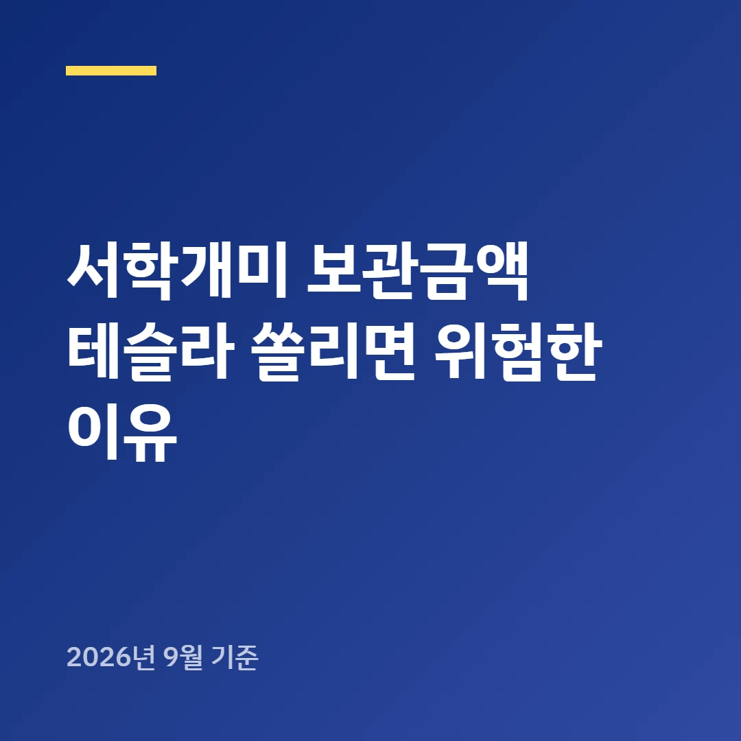 서학개미 보관금액 테슬라 쏠리면 위험한 이유