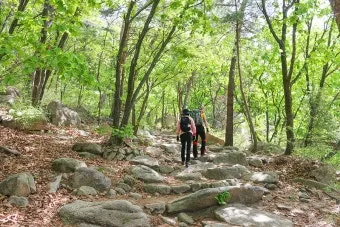 관악산 등산코스 계곡 학바위능선 연주대 사당능선 총정리_2