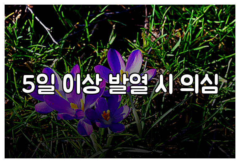 5일 이상 발열 시 의심