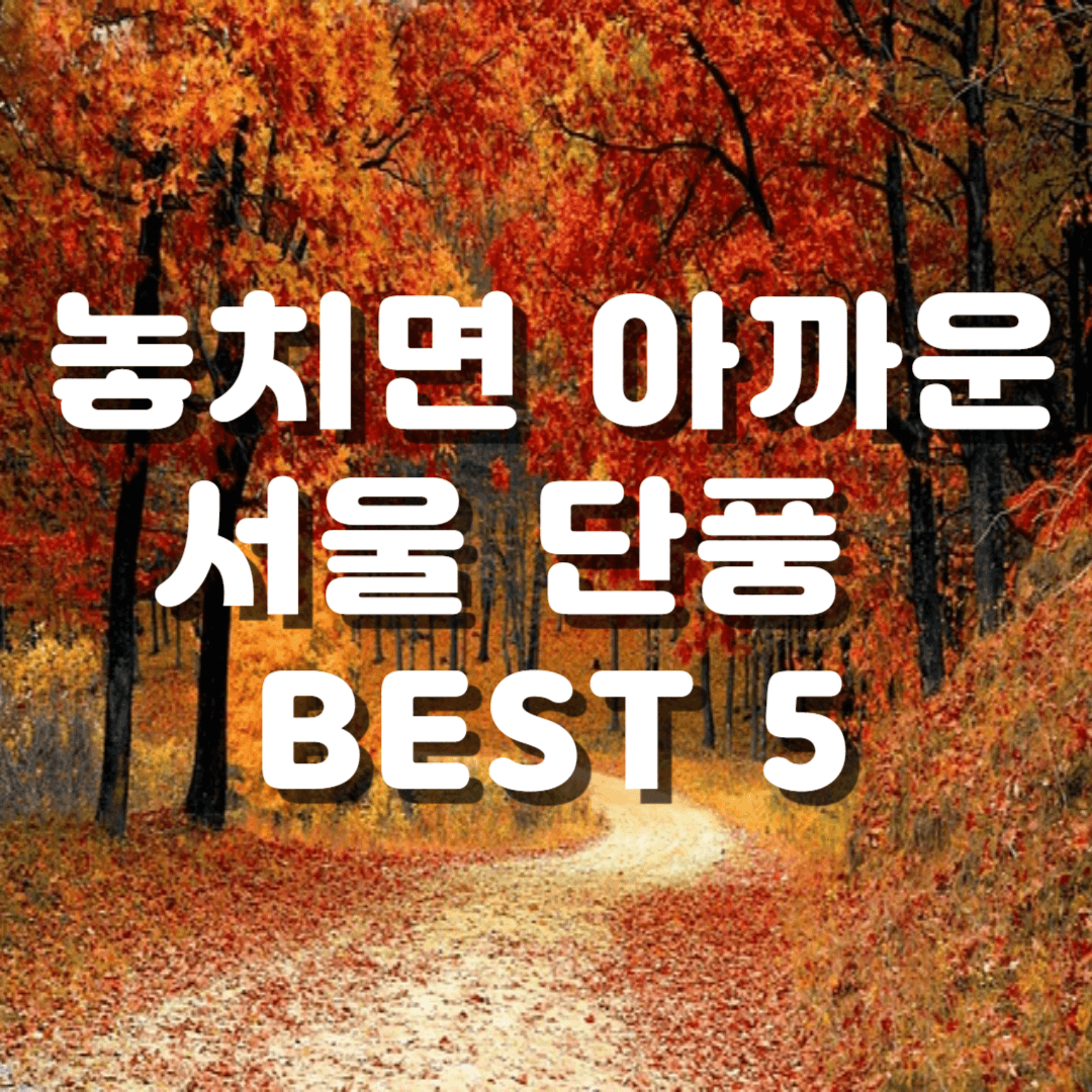 서울단풍명소