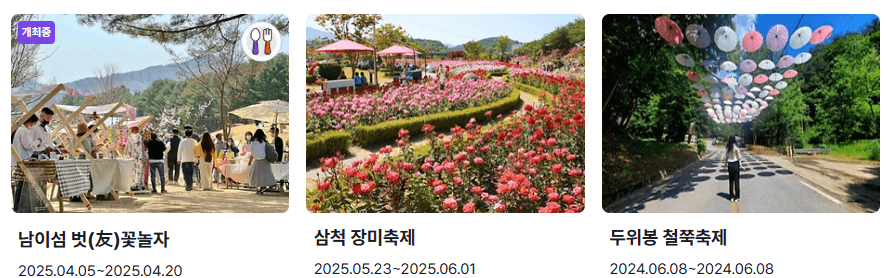강원도 꽃축제 일정