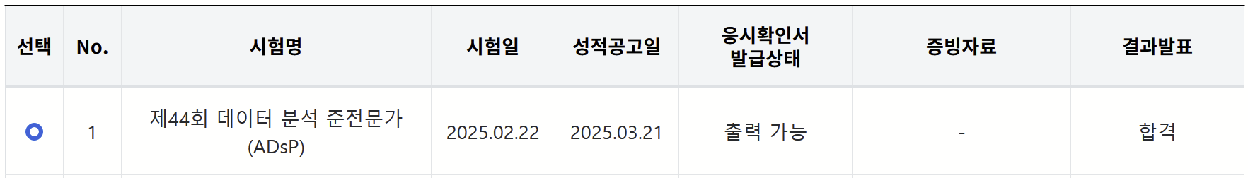 ADsP 합격