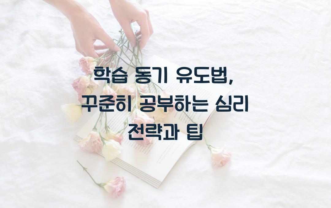 학습 동기 유도법: 꾸준히 공부할 수 있는 심리 전략