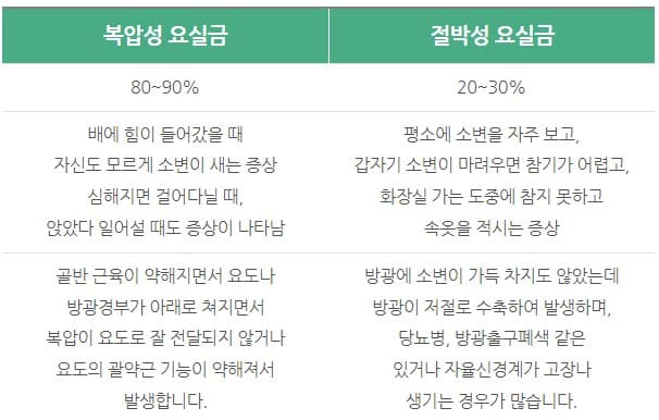 요실금 치료방법&amp;#44; 요실금 팬티&amp;#44; 요실금 증상&amp;#44; 요실금 수술&amp;#44; 요실금 수술비용&amp;#44; 요실금 수술 후 회복기간&amp;#44; 요실금 치료기&amp;#44; 요실금 패드&amp;#44; 요실금 수술 실비 청구&amp;#44; 요실금 약&amp;#44; 요실금 팬티 귀저귀&amp;#44; 요실금 수술 의료실비