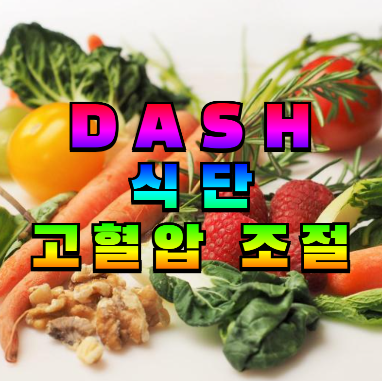 DASH 식단, 고혈압 식단, DASH 다이어트, 혈압 낮추는 방법, 저염식, 고채소 식단, DASH 식단표, 고혈압 관리, 심혈관 건강, DASH 식단 가이드